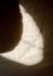 LINIE DESIGN carpet Polar Angels